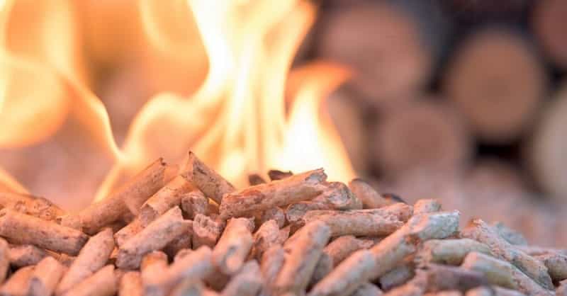 Best Wood Pellet for Smoking
