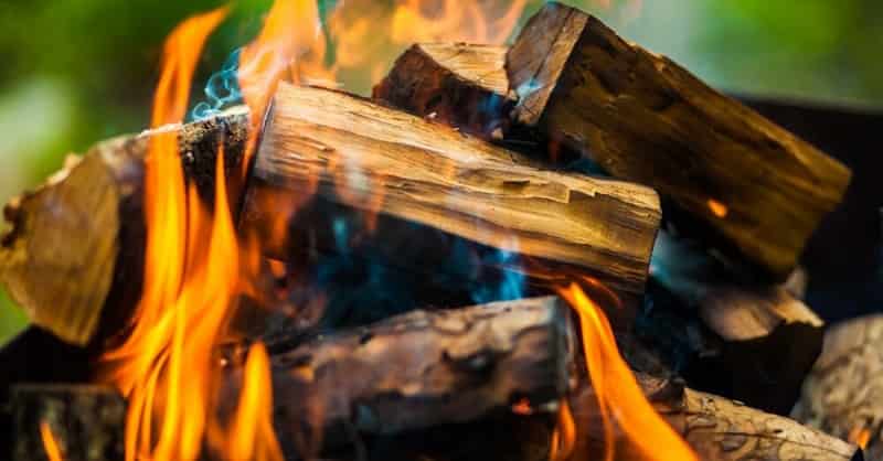 Best Wood for Smoking